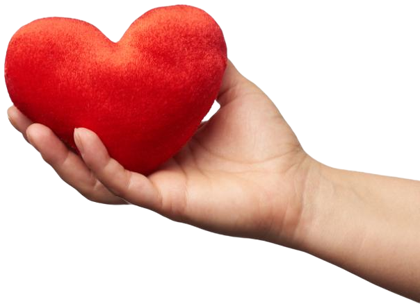 female-hand-holds-red-textile-heart-white-backgrou-3DRAPZU-1.png